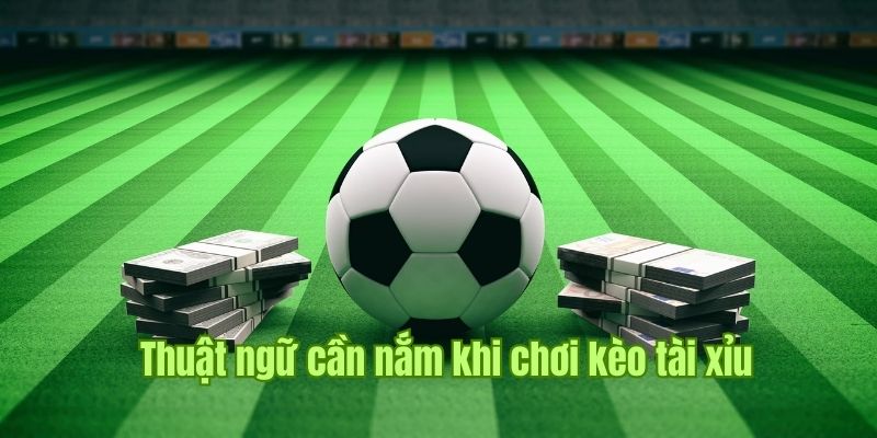 Kèo Tài Xỉu Là Gì? Cách Chơi Hiệu Quả Theo Nhà Cái Uy Tín 2 Thuật ngữ dễ hiểu nhất khi bạn lựa chọn cược Tài Xỉu